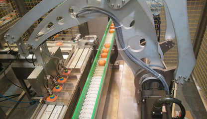 輕工業(yè)營收突破16萬億，驅(qū)動食品機械行業(yè)邁向高質(zhì)量發(fā)展